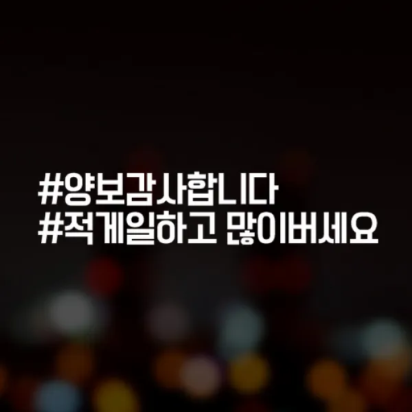 윈스턴 초보운전 아이가타고있어요 아이먼저 극한초보 차량스티커 40종 1개 31.해시 양보감사 블랙