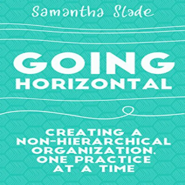 Going Horizontal: Creating a Non-Hierarchical Organization One Practice at a Time 수평 적 이동 : 비 계층 적, 1