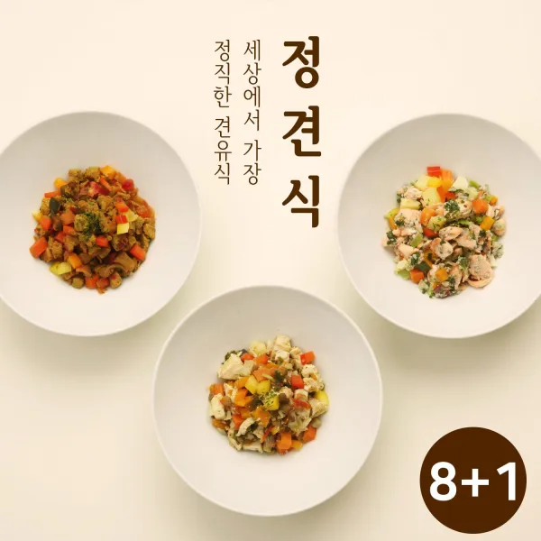 (정견식) 강아지 수제사료 자연식 화식, 70g, 소