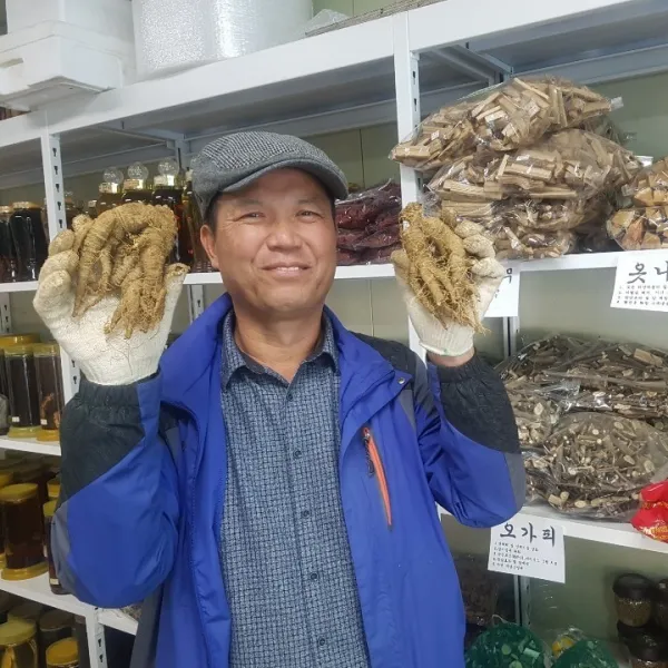 태백더덕마을 산더덕(국산) 대 16900원 태백 산더덕, 1박스, 1kg