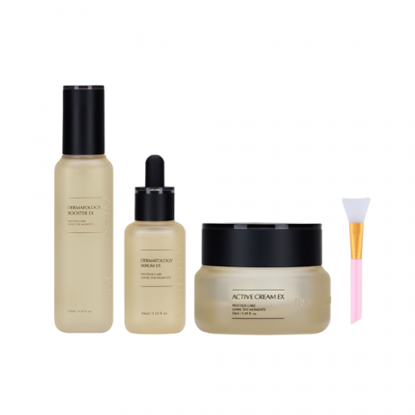 인셀덤 3종 (부스터+세럼+액티브크림)+실리콘팩브러쉬, 1set