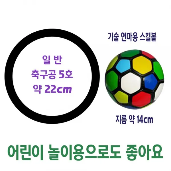 BT GIW60F007 스킬볼 운동볼 축구공2호 미니축구공 발재간 리프팅연습 연습공 연습볼 미니볼 컨트롤볼 작은축구공