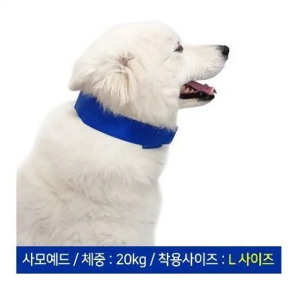 강아지 반려견 더운 여름 산책 아이스 쿨링 카라 L 강아지 쿨매트 쿨카라 여름 더위 젤라틴 스카프 산책 야외 무더위 열대야 패션 쿠팡 1