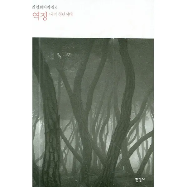 역정:나의 청년시대 한길사