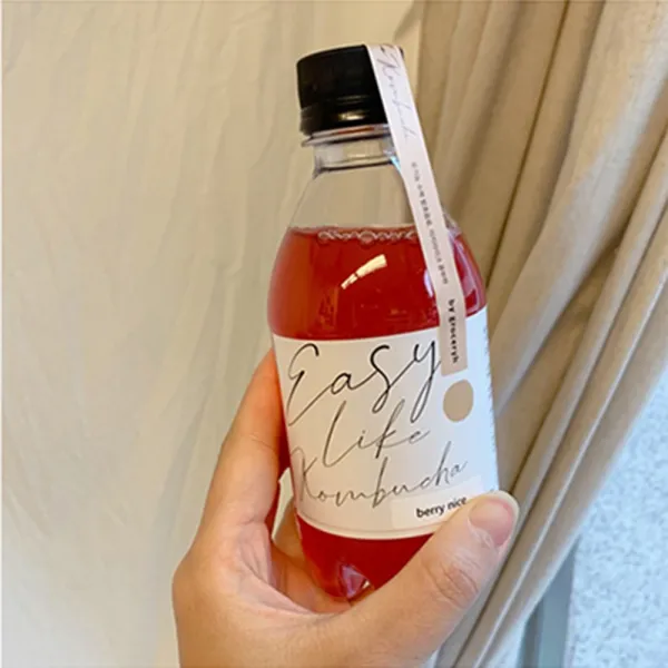 수제 콤부차 300ml 2병 공정무역 유기농 발효홍차 살아있는 프로바이오틱스 음료, 베리나이스 콤부차 300ml 2병