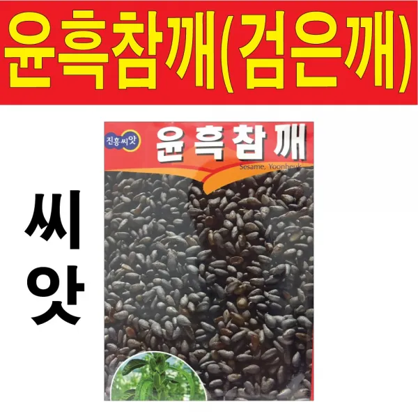 윤흑참깨씨앗 1000알 흑임자 흑참깨 흑임자깨 깨 씨앗