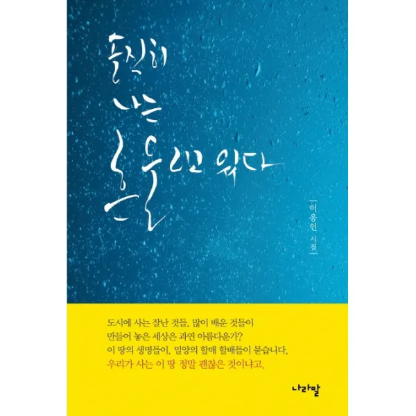 솔직히 나는 흔들리고 있다:이응인 시집, 나라말