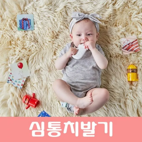 심통 심통치발기 보관케이스포함 리뉴얼 4가지색상, 민트