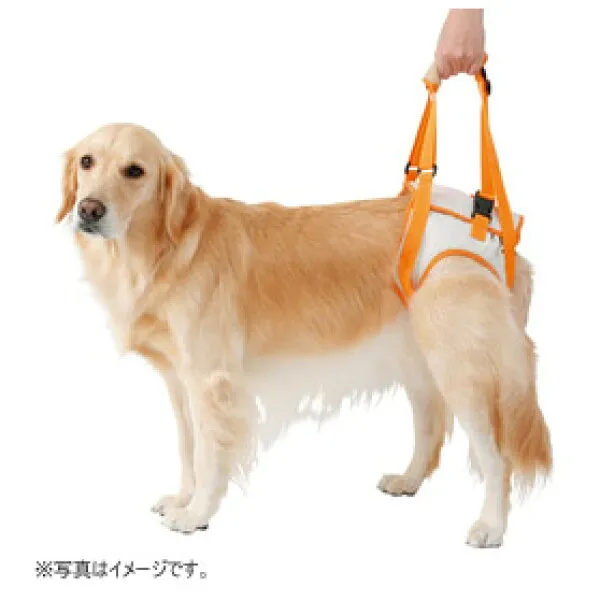 소형 견 호 수 는 보행자 보조 선 으로 뒷발 을 k3l 로 묶는다., 상세설명참조 상품 문의는 상품 문의란에 적어주세요