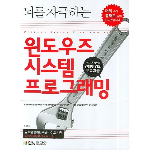 뇌를 자극하는 윈도우즈 시스템 프로그래밍, 한빛미디어