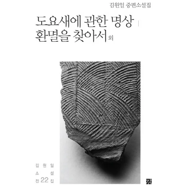도요새에 관한 명상 환멸을 찾아서 외:김원일 중편소설집, 강