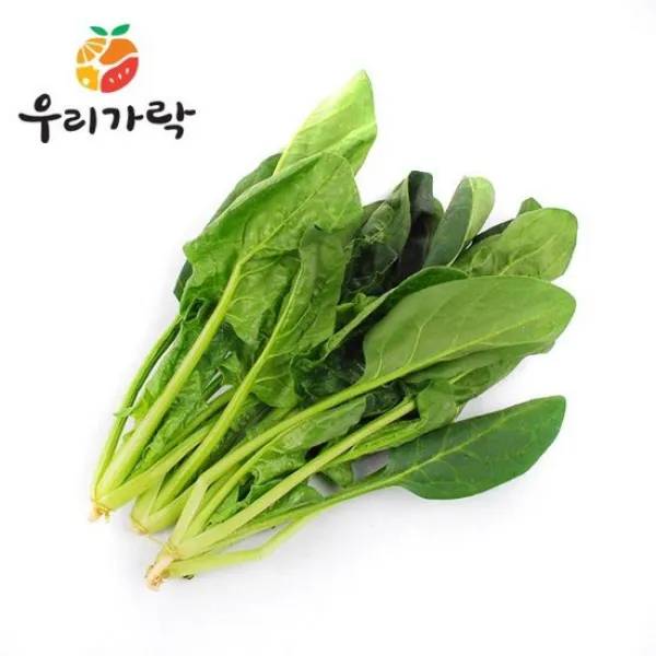우리가락 시금치 1단, 없음, 상세설명 참조