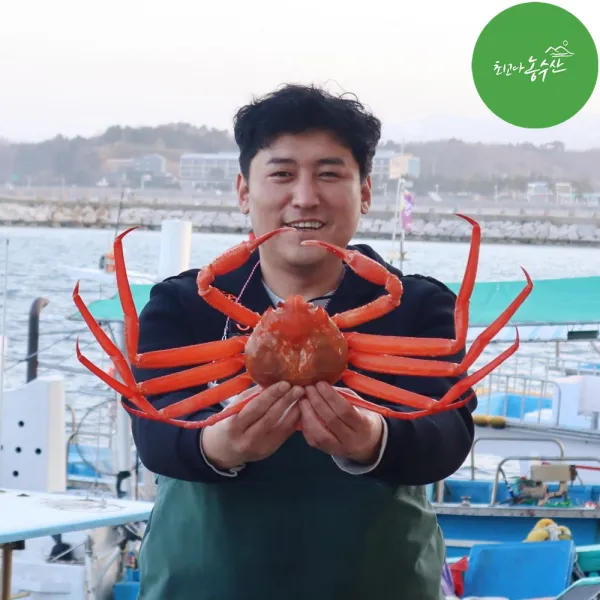 최고다농수산 홍게 산지직송 3kg 손질홍게 런칭이벤트 자숙비용 무료, 명품 홍게 3kg내외 9~12미 (자숙)