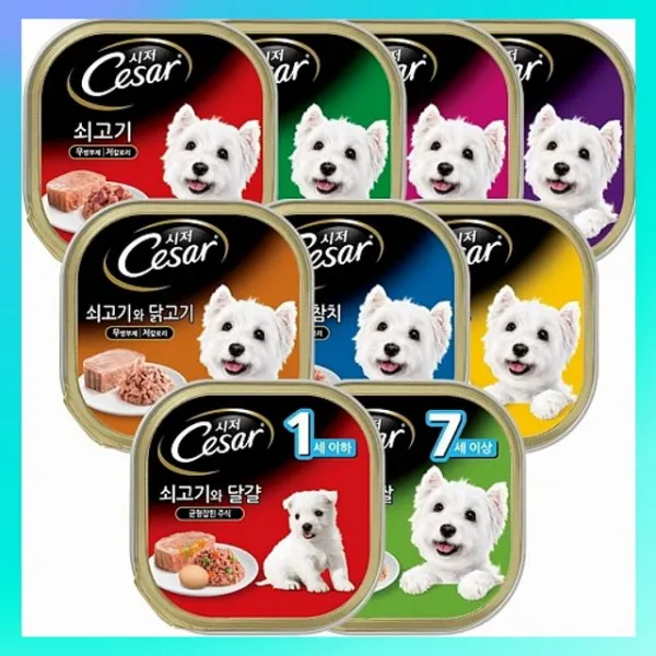 Ksw378 시저 캔 100g X24ea 9종 1 퍼피쇠고기와달걀