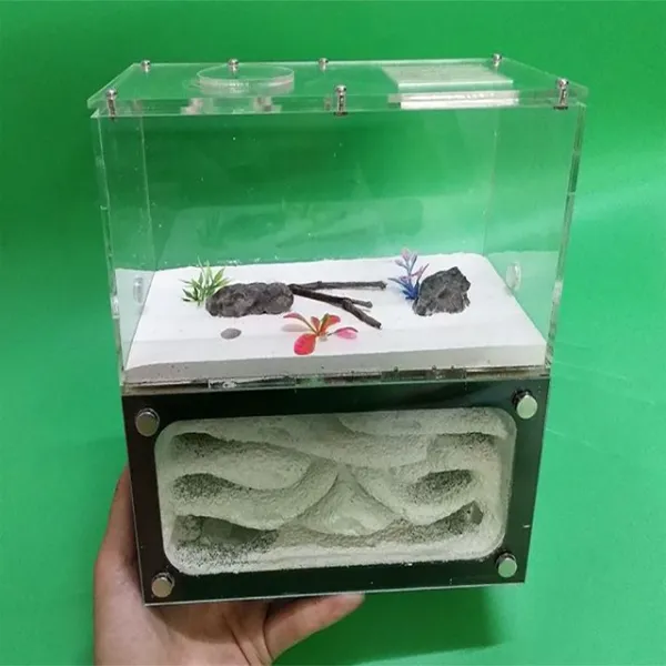 고급 자연관찰 개미 사육장 여왕 개미사육장, 빨간색