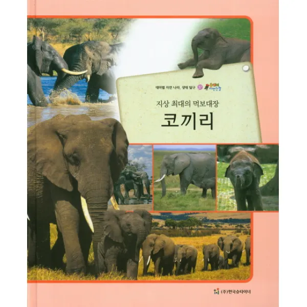 지상 최대의 먹보대장 코끼리:테마별 자연 나라 생태 탐구, 한국슈타이너