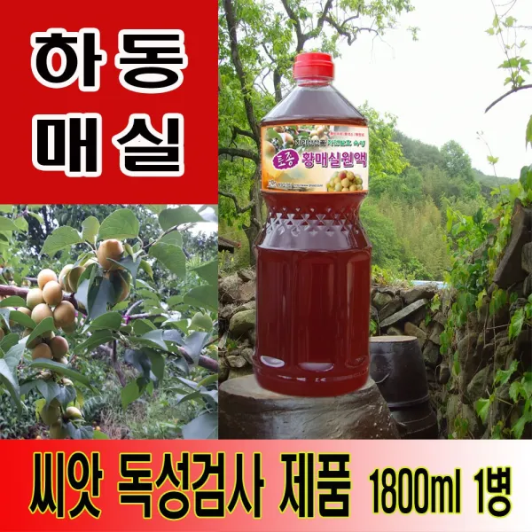 하동 매실원액 지리산산골 3년숙성 토종 황매실원액 1800ml, 1800ml*1