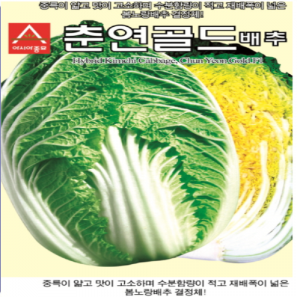  아시아종묘 춘연골드 배추씨악 2000립 1봉