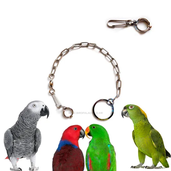 [앵무새발목링] Bird 발목링 12호(아마존 뉴기니아 회색앵무) 앵무새하네스/마카우발목링/코카투발목링/하네스/새발목링/앵무새목줄/