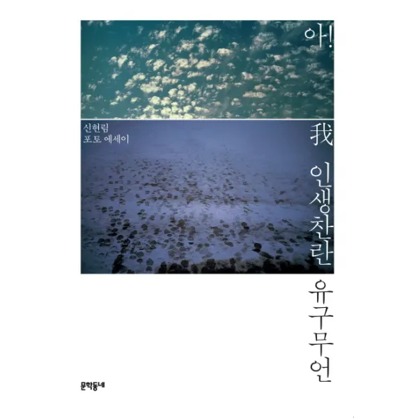 아! 인생찬란 유구무언:신현림 포토 에세이, 문학동네