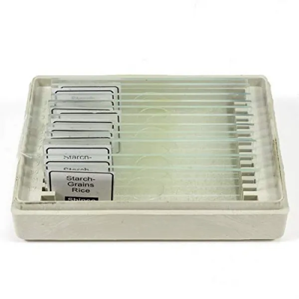 현미경 슬라이드 American Scientific 25 Human/Animal Prepared Glass Slides, 본문참고, 본문참고