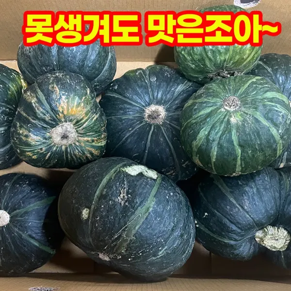 알뜰상품 못난이 제주 밤단호박 못생겨도 맛은조아~ 대용량8kg 밤호박 미니 꼬마과 소식좌 한끼 다이어트