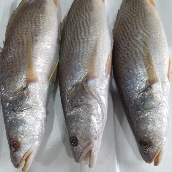 수산물백화점- 자연산 최상급 단짠 저염 손질 반건조 민어 조기 (1kg 5미 30cm), 5마리, 1kg