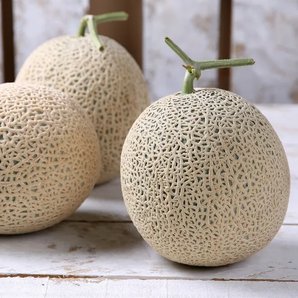 썬리치 달콤한 머스크 메론 케이메론 4수 8kg 이내, 단품