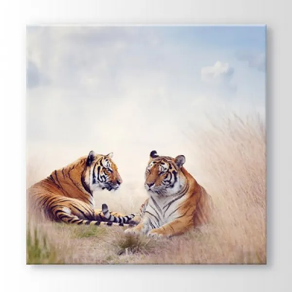 아트박스/꾸밈 Cv322 용맹한호랑이_노프레임