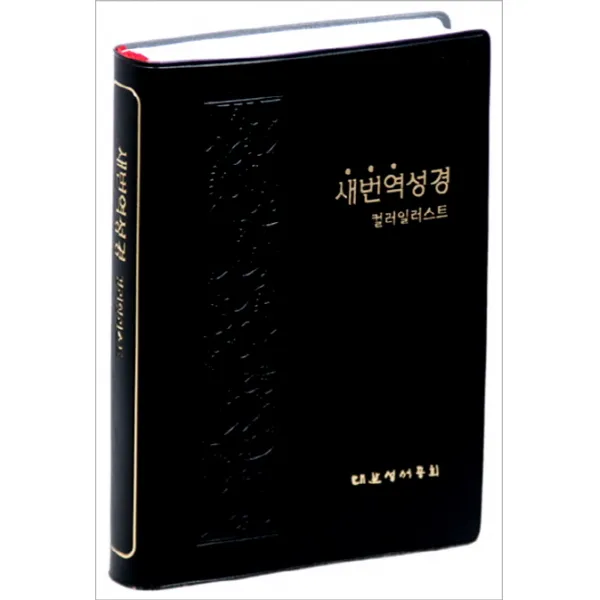 새번역성경(RNC72)(컬러리스트)(중)(펄비닐), 대한성서공회