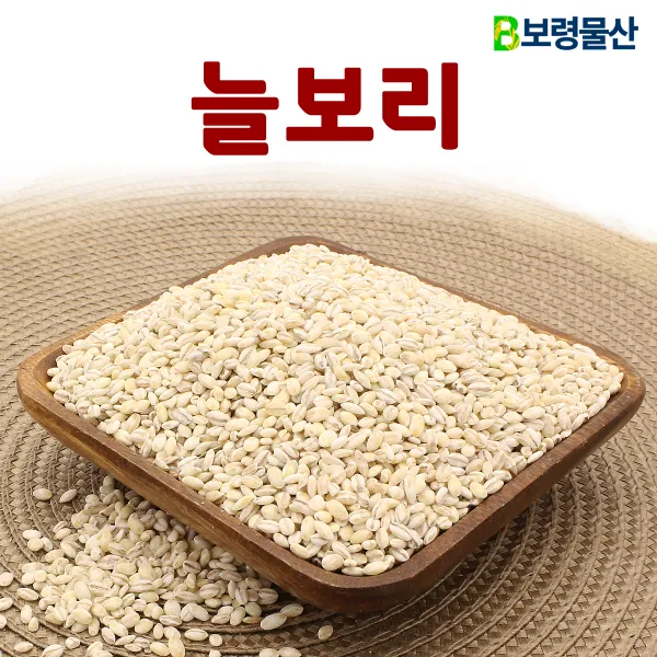 보령물산 2020년산 국산 햇늘보리 1개 4kg