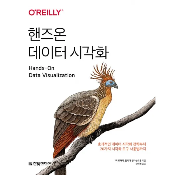 핸즈온 데이터 시각화:효과적인 데이터 시각화 전략부터 20가지 시각화 도구 사용법까지, 한빛미디어