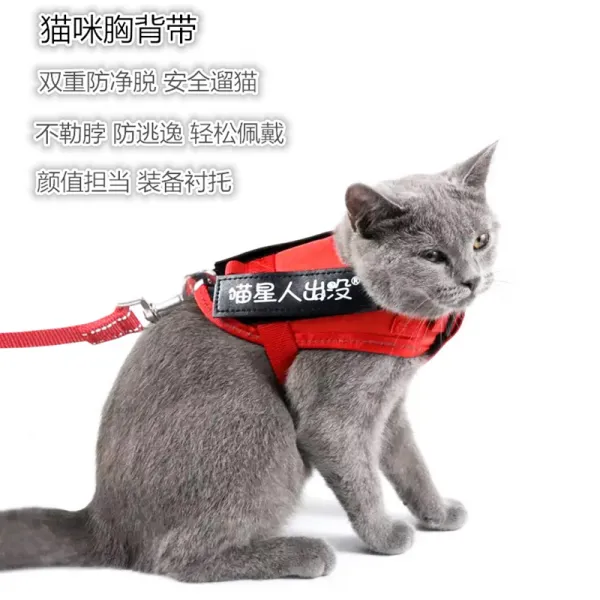 강아지목줄 고양이 애완동물 리드줄 애견목줄 애완동물용품 통용 C01 2.5kg내적용