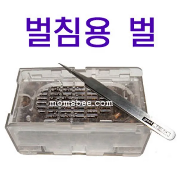 맘스비(임시브랜드) 벌침벌 벌침용벌, 1box