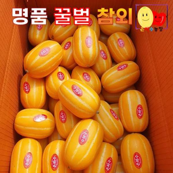 [은하수농장]성주 명품 꿀벌참외 농민직송 꿀참외(정품), 1박스, 02.명품 꿀벌참외 특상 선물용 5KG / 중과