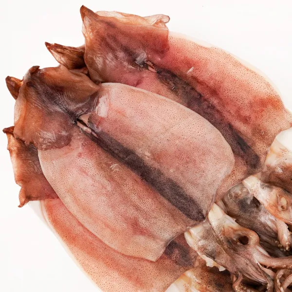 경북 포항 반건조 피데기 국내산 오징어 5마리 반건조 오징어 5마리 소 350g 내외 