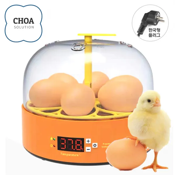 가정용 미니 병아리 부화기 6알 자동전란 메추라기 CHOA SOLUTION, 6알 부화기