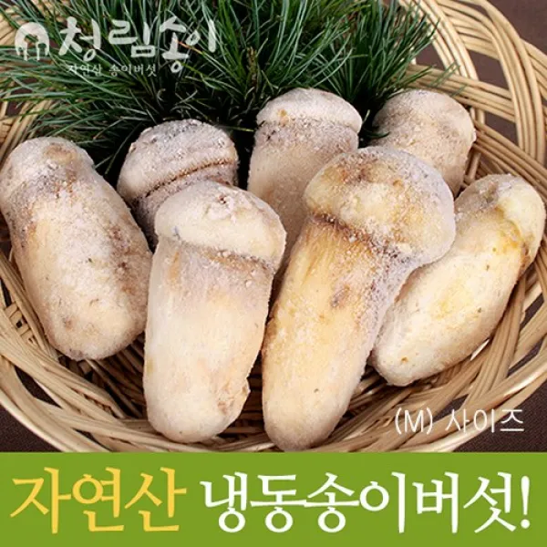 (청림송이 능이) 자연산 냉동송이버섯 1kg, 냉동송이/HB/1kg, 1개