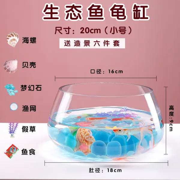 Mar.23 45번 어항유리 원형 책상 초록물배 가정용 물고기 아이디어 투명 미니 테이블 거북이 항아리Z, 2_거북이 독 드 림 스톤 6 종 세트 5 개 드 립