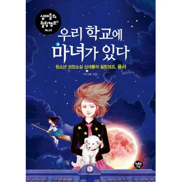 우리 학교에 마녀가 있다:청소년 성장소설 십대들의 힐링캠프, 용서, 행복한나무