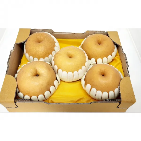 [성환 배꽃마을 ] 알뜰배 / 3kg / 가정용 / 신고배