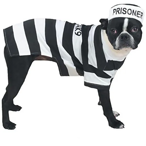 Casual Canine Prison Pooch Costume Large 캐쥬얼 송곳니 감옥 푸치 의상 대형, nullSET