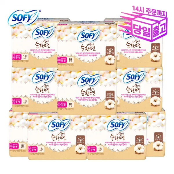 쏘피 바디피트 내몸에 순한면 대형 16P x 10팩 날개형 생리대, 1세트