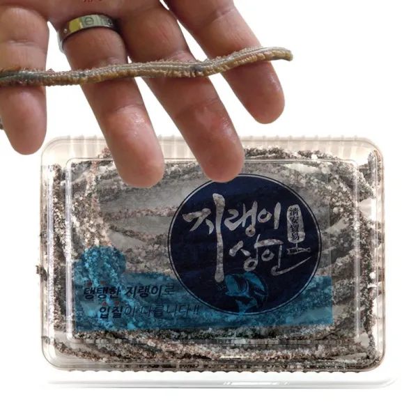 올미끼 염장지렁이