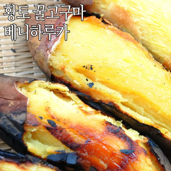 초록사랑 사르르 꿀고구마 베니하루카 1개 왕품 5kg