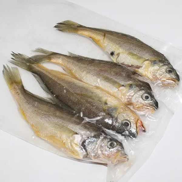 고씨네수산 참조기 파조기 조기파지 자반 간조기, 1box, 간파조기 750g