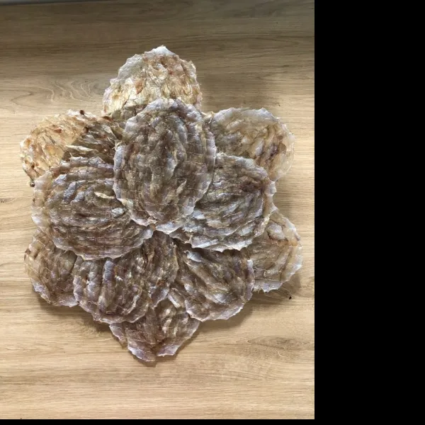 쥐포의 으뜸 삼천포 건어명가 쥐포, 1팩, 400g