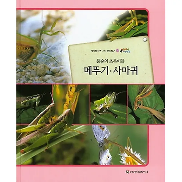 풀숲의 초록이들 메뚜기 사마귀 (곤충류), 한국슈타이너