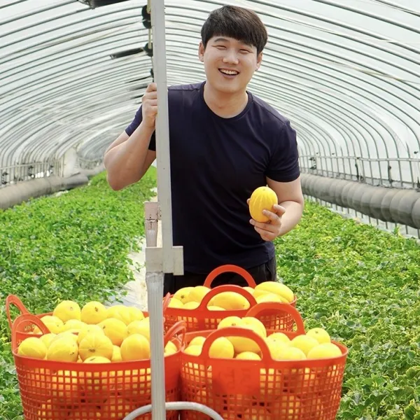 [당일수확] 농장직배송 가정용 성주 꿀 참외 5kg 10kg, 5kg 못난이과