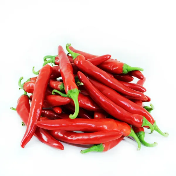 채선 햇볕 잘받아 붉은 홍고추 500g 1kg 1포